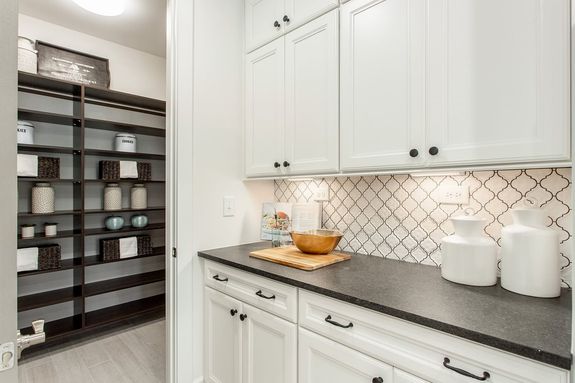 Fir Model Kitchen